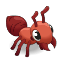 description images