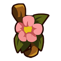 description images