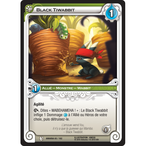 Black Tiwabbit