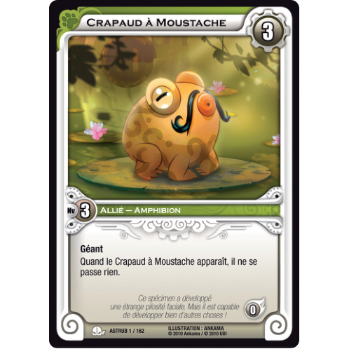 Crapaud à Moustache