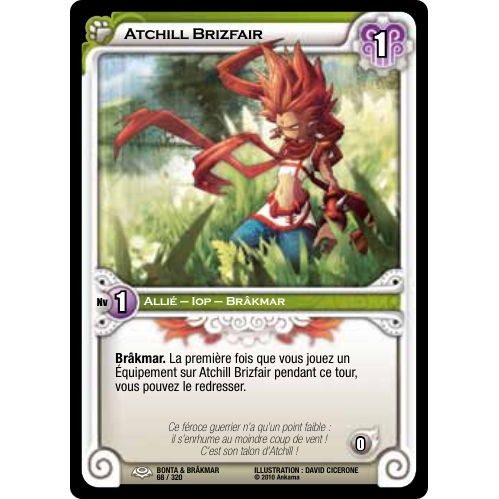 Atchill Brizfair