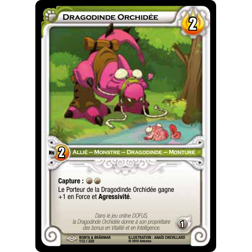 Dragodinde Orchidée
