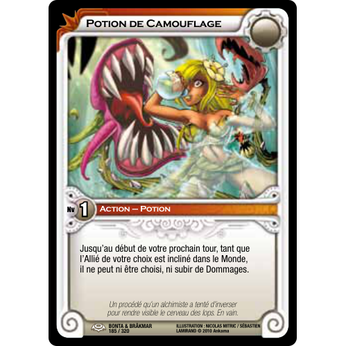 Potion de Camouflage