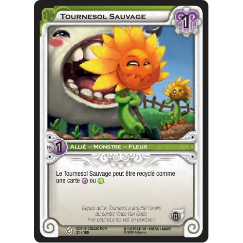 Tournesol Sauvage