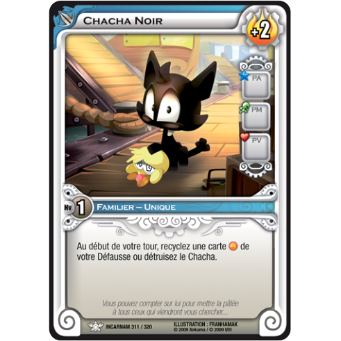 Chacha Noir