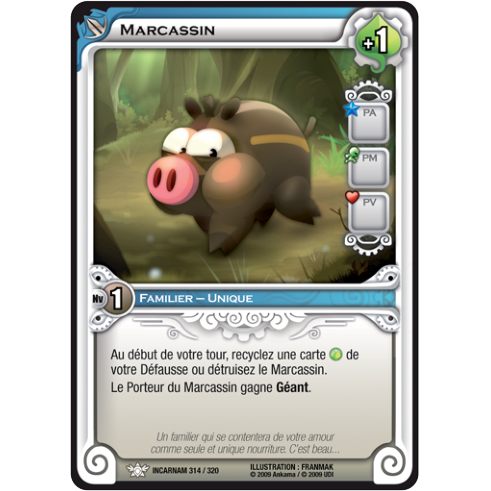 Marcassin