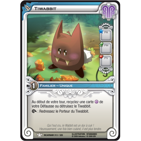 Tiwabbit