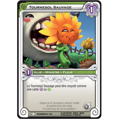 Tournesol Sauvage