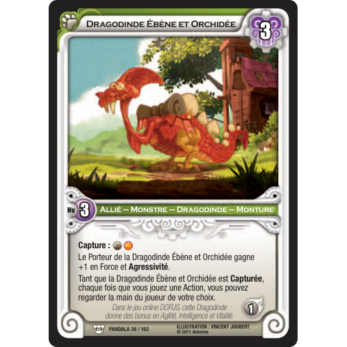 Dragodinde Ébène et Orchidée