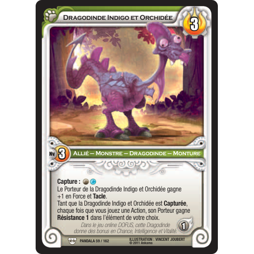 Dragodinde Indigo et Orchidée