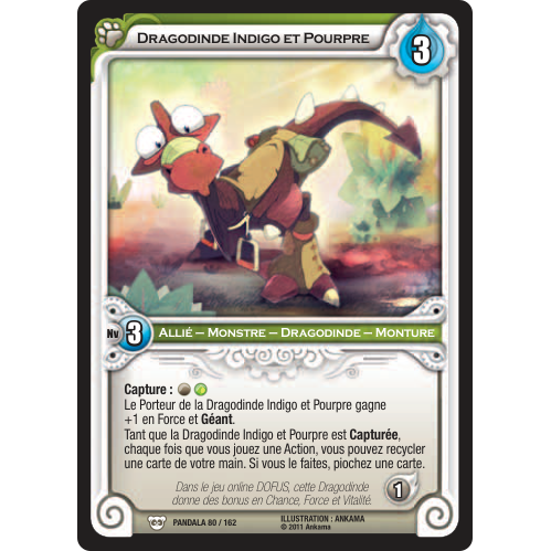 Dragodinde Indigo et Pourpre